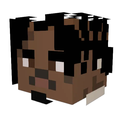 wlrp Minecraft avatar head, 3D render