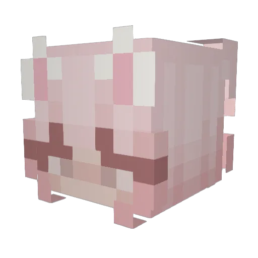 wlsal Minecraft avatar head, 3D render