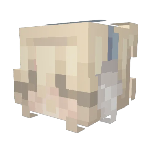 wlsdh Minecraft avatar head, 3D render