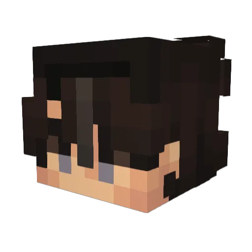 wlsgk12 Minecraft avatar head, 3D render