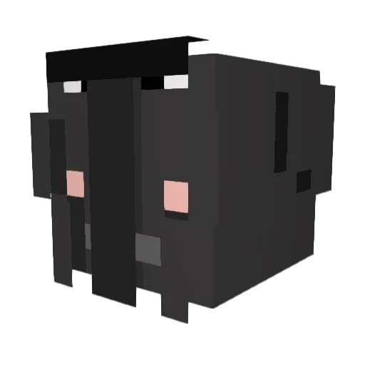 wlsqjadl1 Minecraft avatar head, 3D render