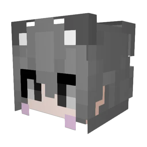 wlswjdgo Minecraft avatar head, 3D render
