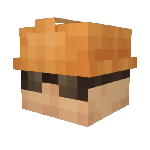 wlwillow Minecraft avatar head, 3D render
