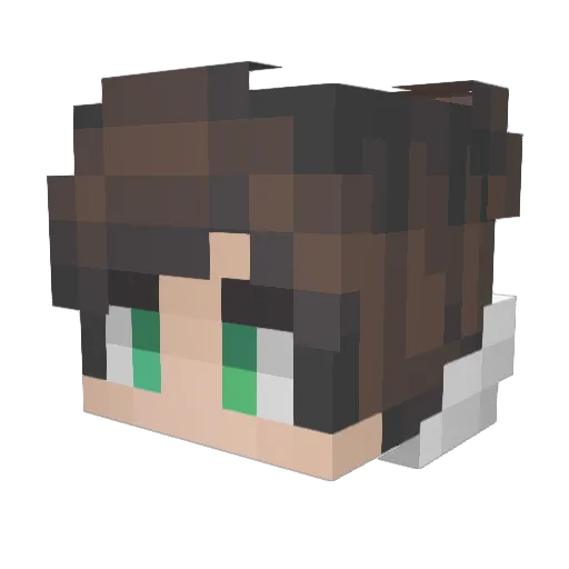 wlwlwl Minecraft avatar head, 3D render