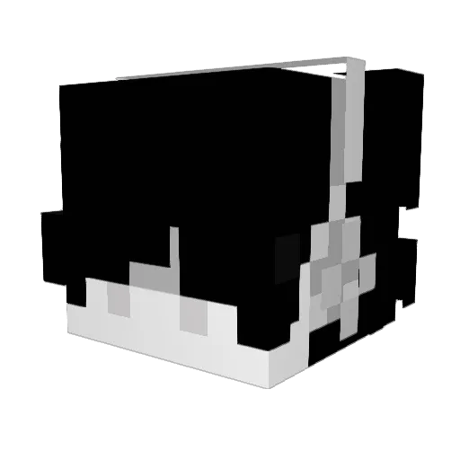 wlz512 Minecraft avatar head, 3D render