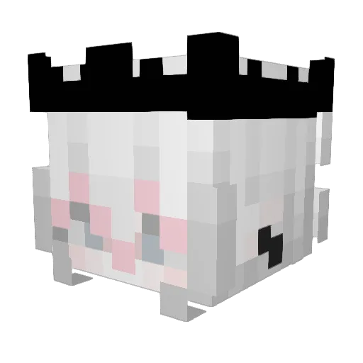 wlzy13 Minecraft avatar head, 3D render