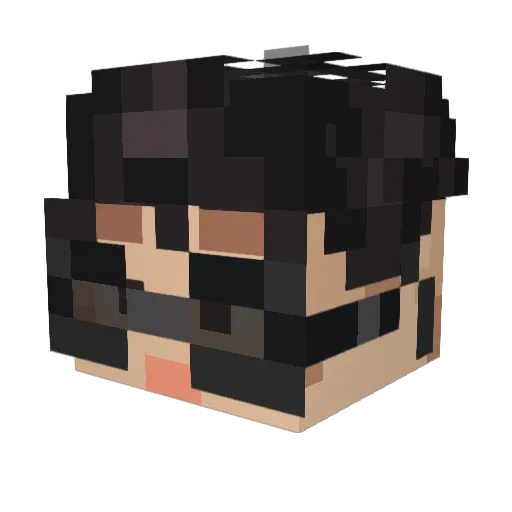 wm3210 Minecraft avatar head, 3D render