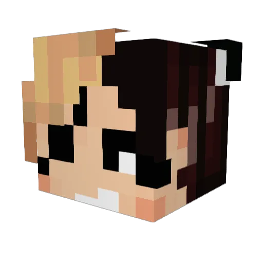 wmaster101 Minecraft avatar head, 3D render