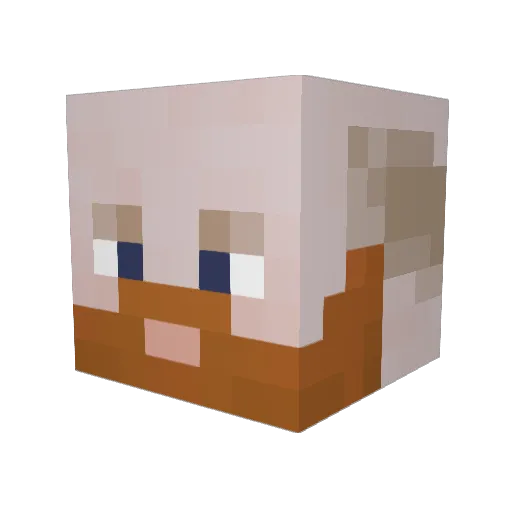 wmbryan Minecraft avatar head, 3D render