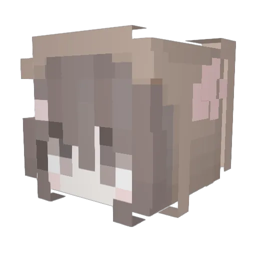 wmbw Minecraft avatar head, 3D render