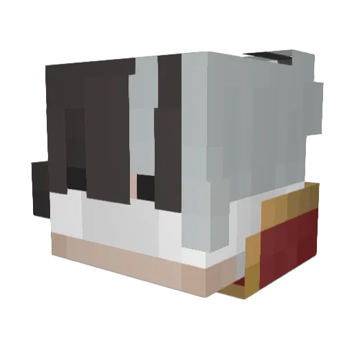 wmos Minecraft avatar head, 3D render