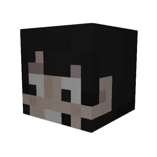 wn2 Minecraft avatar head, 3D render
