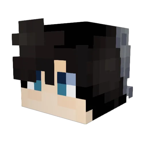 wnagle Minecraft avatar head, 3D render