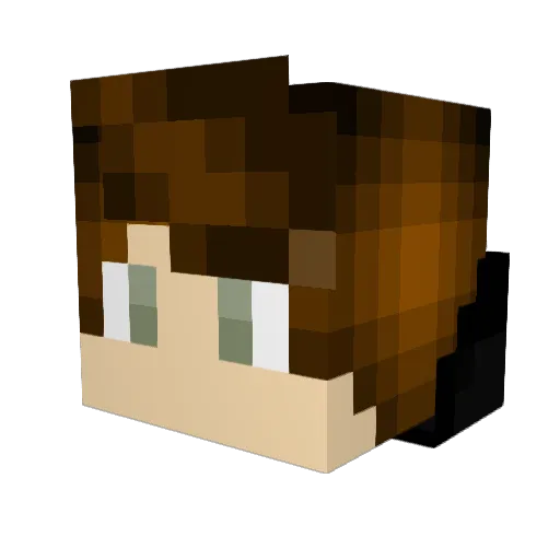 wnarc Minecraft avatar head, 3D render