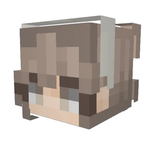 wndrlndMC Minecraft avatar head, 3D render