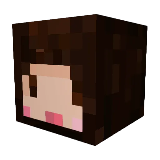 wndus0311 Minecraft avatar head, 3D render