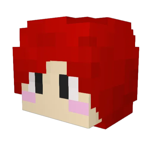 wngur6436 Minecraft avatar head, 3D render