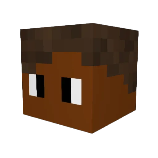 wnlt Minecraft avatar head, 3D render