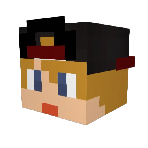 wnn Minecraft avatar head, 3D render