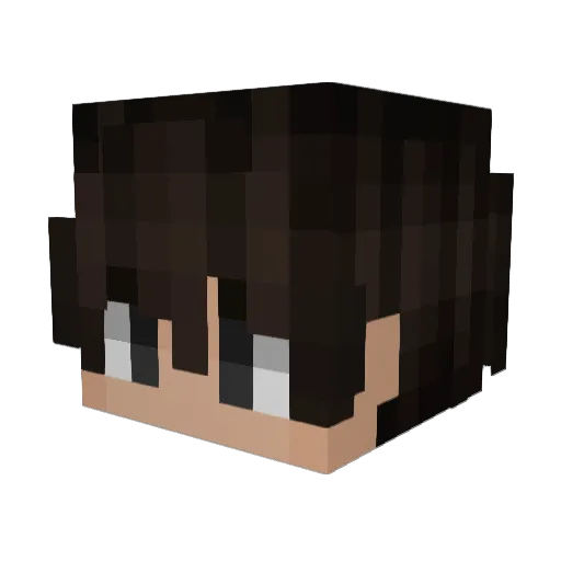 wnova1_ Minecraft avatar head, 3D render