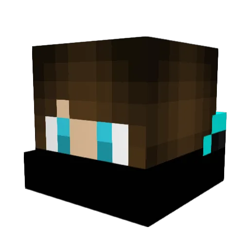 wnoyan Minecraft avatar head, 3D render