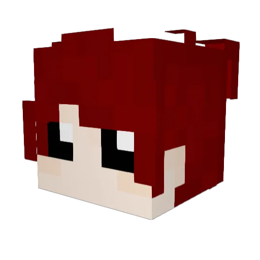 wns6312 Minecraft avatar head, 3D render