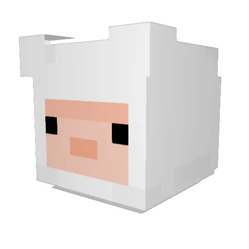 wnsrl1344 Minecraft avatar head, 3D render