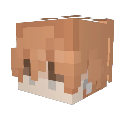 wnwn1011 Minecraft avatar head, 3D render
