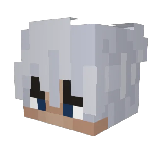 wnxzter Minecraft avatar head, 3D render
