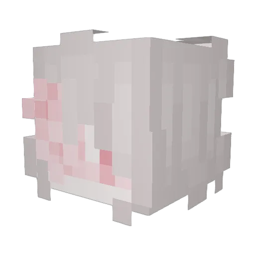 wo_n_ Minecraft avatar head, 3D render