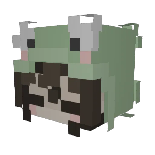 woahbrigitte Minecraft avatar head, 3D render