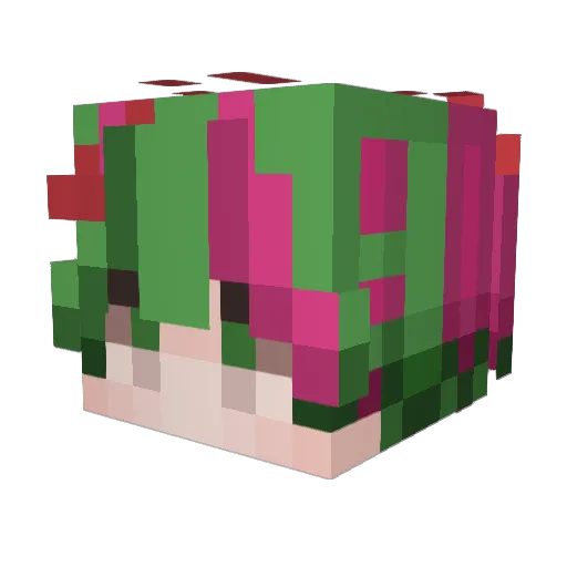 woainii Minecraft avatar head, 3D render