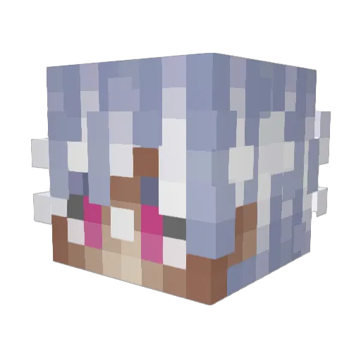 wockstarzzax Minecraft avatar head, 3D render