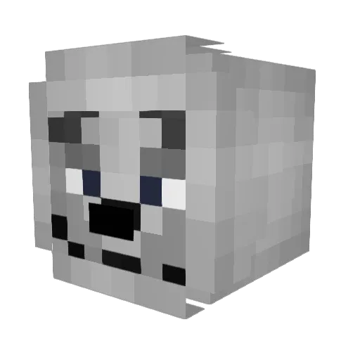 wockywoozy Minecraft avatar head, 3D render