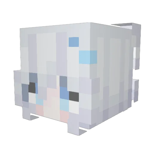 woco1 Minecraft avatar head, 3D render