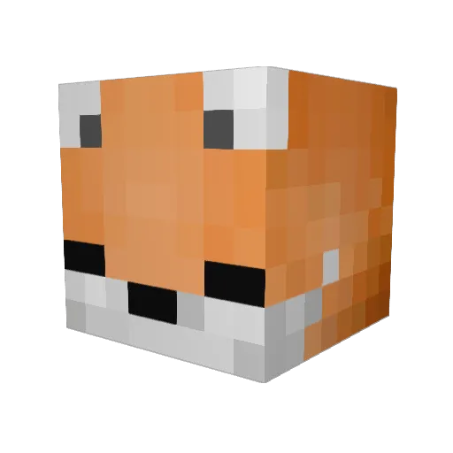 woekie07 Minecraft avatar head, 3D render