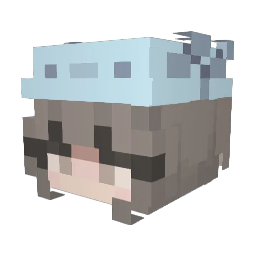 woggy777 Minecraft avatar head, 3D render