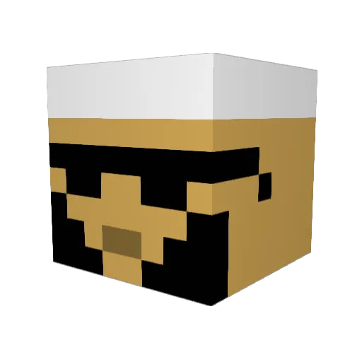 woida Minecraft avatar head, 3D render