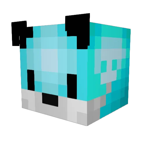 woj_ Minecraft avatar head, 3D render