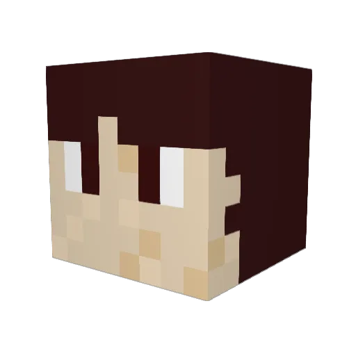 wojqer Minecraft avatar head, 3D render