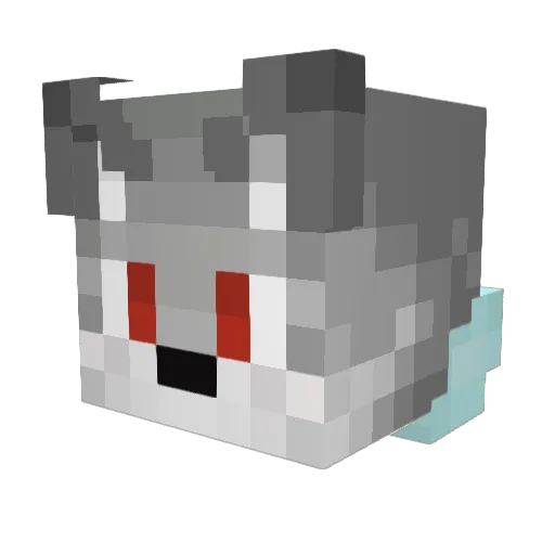 wojt30 Minecraft avatar head, 3D render