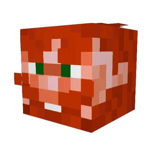 wojtas09876 Minecraft avatar head, 3D render