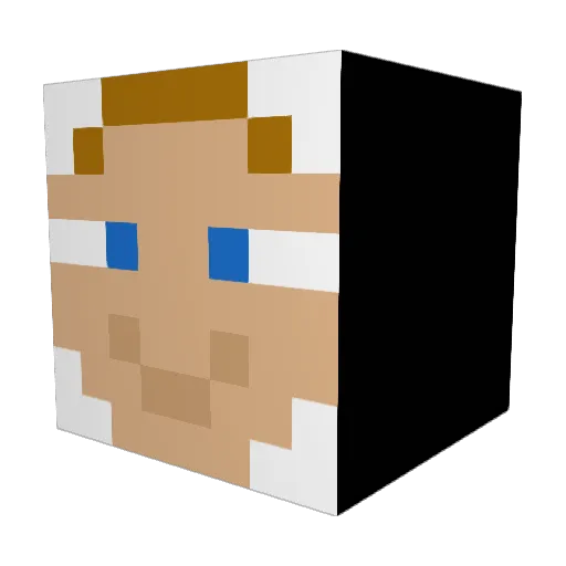 wojtass_ Minecraft avatar head, 3D render