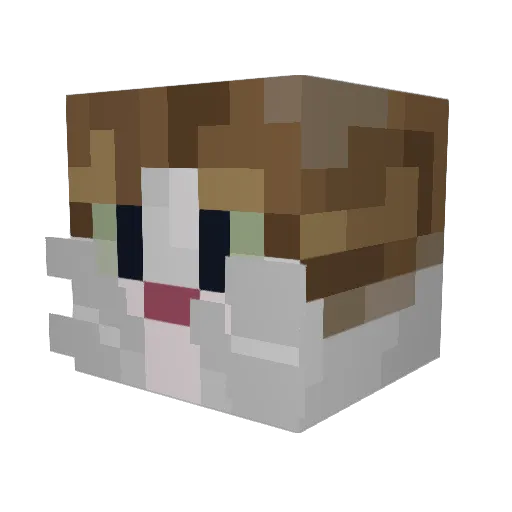 wojtekojtek Minecraft avatar head, 3D render