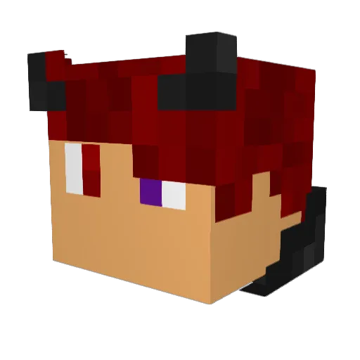 wojti21 Minecraft avatar head, 3D render