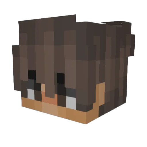 wojtqs Minecraft avatar head, 3D render
