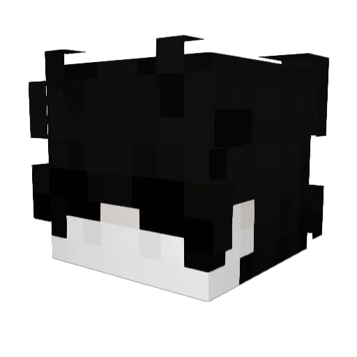 wojtusi12 Minecraft avatar head, 3D render