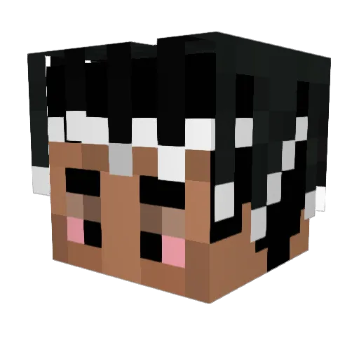 wokhart Minecraft avatar head, 3D render