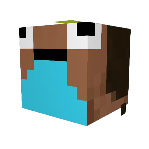 wokierzz Minecraft avatar head, 3D render