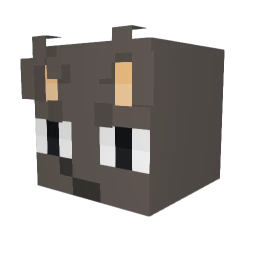 wokions Minecraft avatar head, 3D render